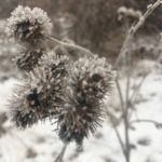 LYDwuppfh6iZJfRhexyLZz6BJGdkbmmYTzVabanWiTCvr6PmuXBOZZ2yRHs7MatN8QpvNt_c-ZFRHDD-KGg0wtRI