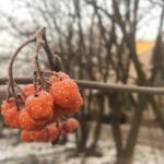 aewWWGmsKX8y5h0Q_PA9ZB3VwHrEJ4OCtMUei-8nZgpzjm9U-iu2pvF4elRNrmiHlp3O2YT08O-Gb_PldKaGqcjc