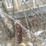 r0xNnDxq3aAw36Frf3z-TsRkpxWacbq5ihn6PcWMRlsagJfcSU46sI9g9s07L0MIjZHPEU3Sjdz129RXl2ns3-th