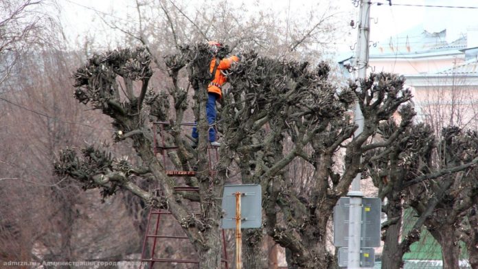 1 - 2023-01-31T140552.762