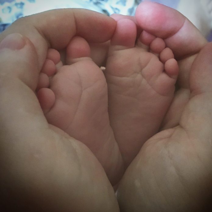 2018-09-01_10_44_19 (1)