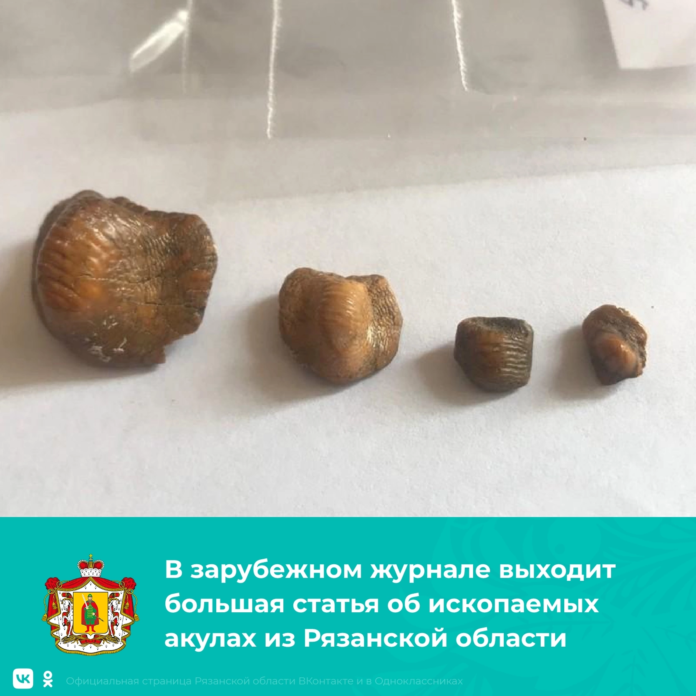 CDCFE006-E0AA-4CB2-B51E-D0005BDD3EA7