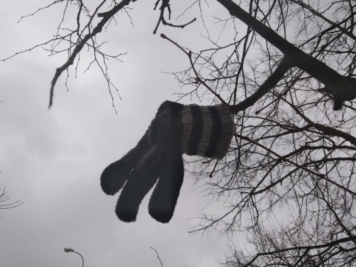 1 - 2023-02-06T140605.242