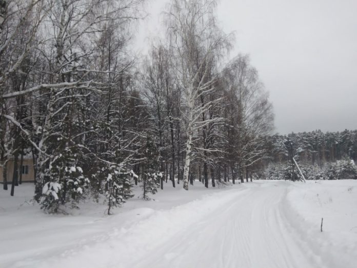 1 - 2023-02-10T142748.670