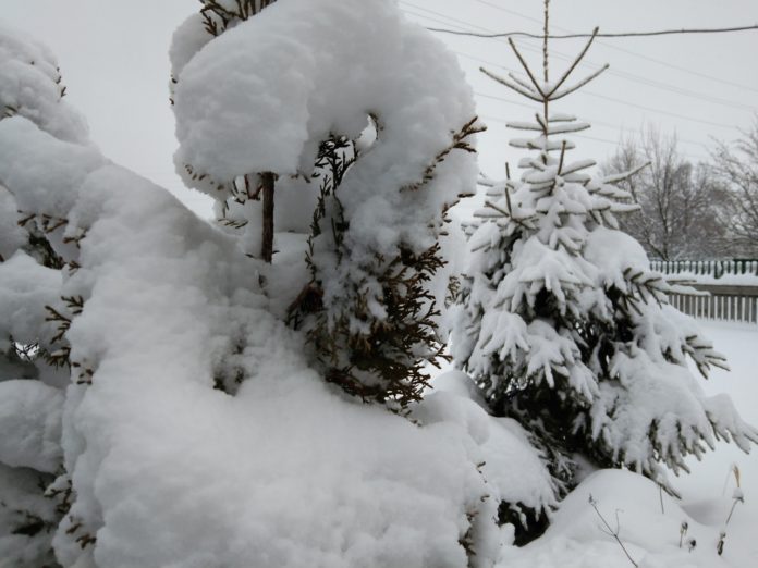 1 - 2023-02-16T142359.325