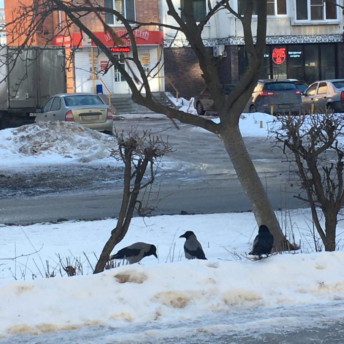 CBCCF16D-323B-4337-8CC0-0169B8FB3811