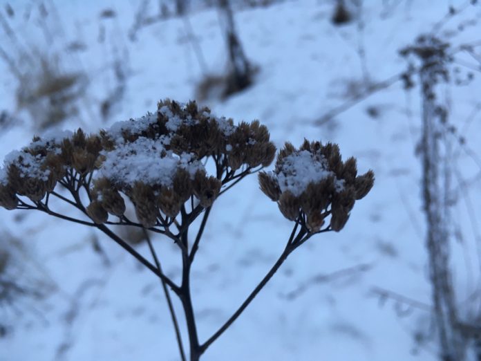 UKVTRJDKyJxgoEL3ptcXpEnmK0rk-myg7nrt9BvBmLJ5GjxrRP4QFs6nvQoTuM3GT_4f1YMMKPU-wTbvkK5vwCo