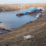 Разлив с видом на Остров