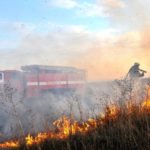 Весенний пал