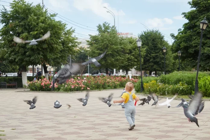 осинин дети