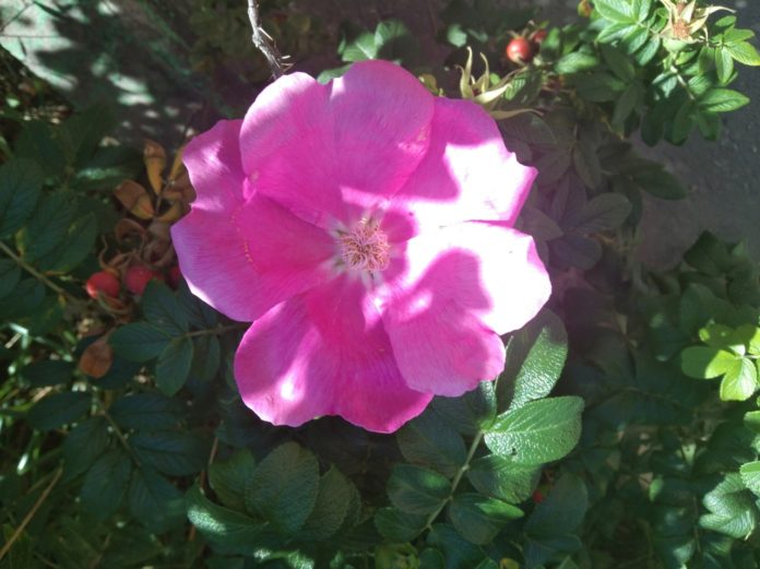 1 - 2023-08-31T132037.381