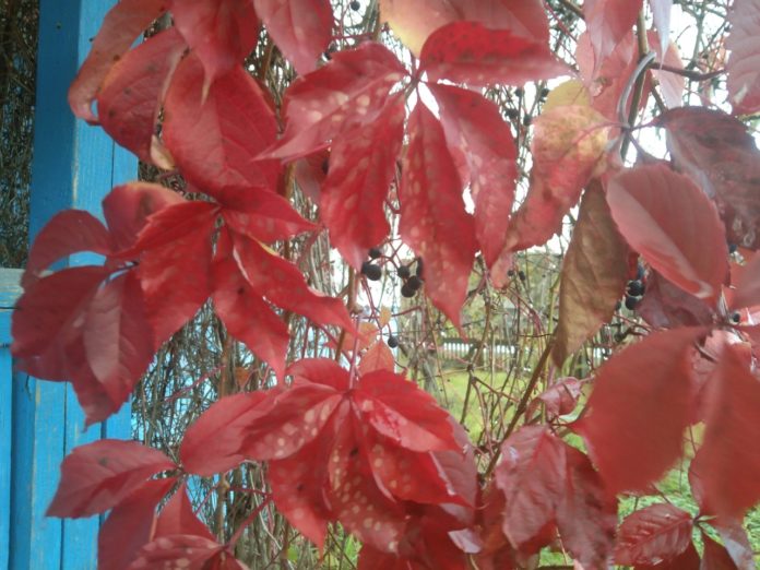 1 - 2023-10-18T142510.704