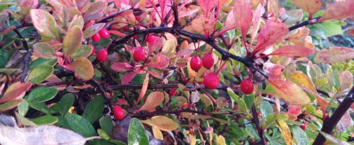 1-IMG_20231014_081824