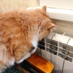 Префекты районов Рязани будут отслеживать, как отапливаются квартиры ветеранов