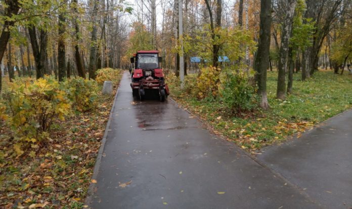 уборка в парке Гагарина Фото Людмилы Трухиной_1