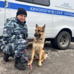 ТАЙГА, ГЕРМАН, ТЕРРА