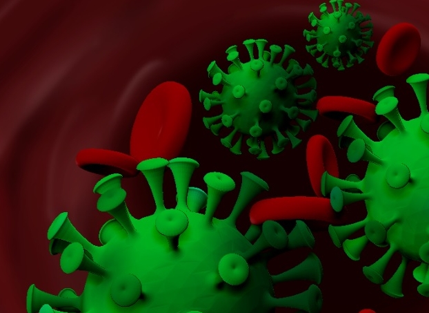 кишечные инфекции сальмонеллез и дизентерия. дизентерия палочка. энтеровирусная инфекция код мкб 10. инфекция 10. ротавирусная инфекция классификация.