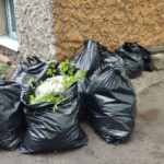 Сотрудники “Рязанских ведомостей” и издательства “Пресса” присоединились к Всероссийскому субботнику