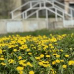 Участки – героям