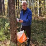 Движение вверх