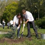В Рязани весной высадили более 900 деревьев и кустарников