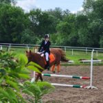 Мощь и грация