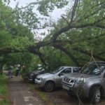 Отшумели летние дожди