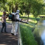 Рязанские водоемы обрабатывают от личинок комаров