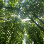 4 миллиарда рублей потратили в прошлом году в Рязанской области на мероприятия по охране окружающей среды