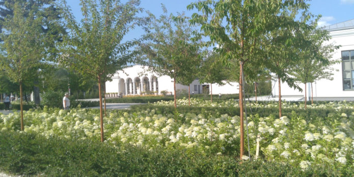 1 IMG_20240710_163703