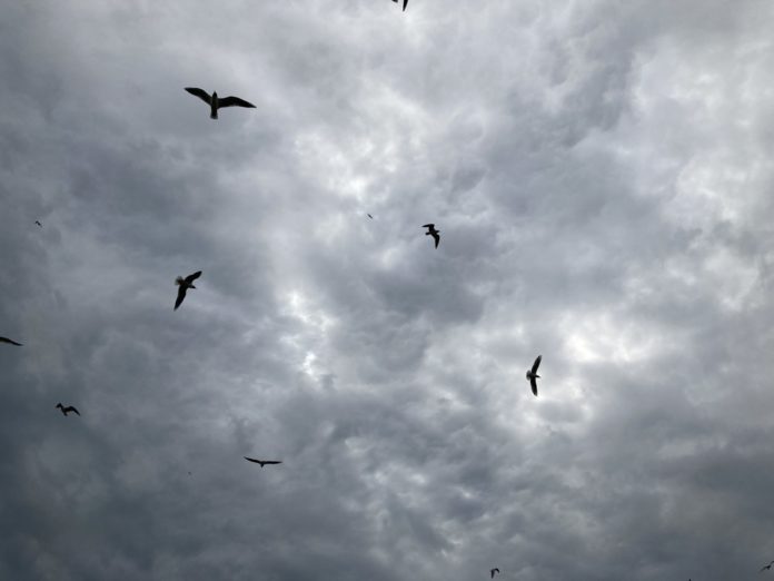 2024-06-01 15.34.08 (1)