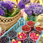 В селе Новоселки стартовал ежегодный фестиваль «Малина»