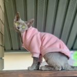 На строгом учёте