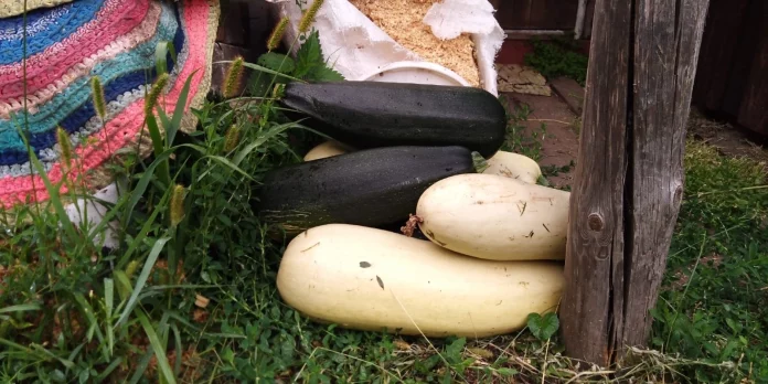 7-AaJhwicMVaKkGc0CruSyy3GWIm9JAxOBakTnNbLC84Aydt-lrMv0X459n1wDQ-qgNEnHcD-2GaiXlEN59wWAU9