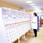 Инвестиции в здоровье