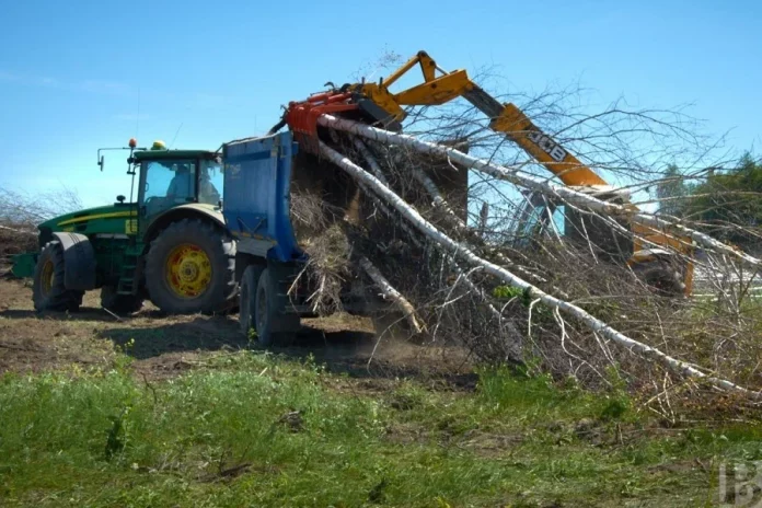 ввод в оборот ранее неиспользуемых земель_СПК Вышгородский 2021 Фото Детушевой