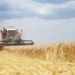 Рязанская область дополнительно получит 31 млн рублей на компенсацию затрат аграриев по страхованию