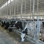 Господдержка рязанских аграриев в этом году составила более 2 млрд рублей