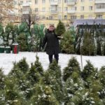 16 декабря 2024