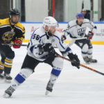 Ледовое содружество