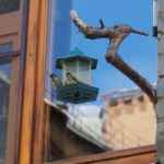 25 февраля 2025