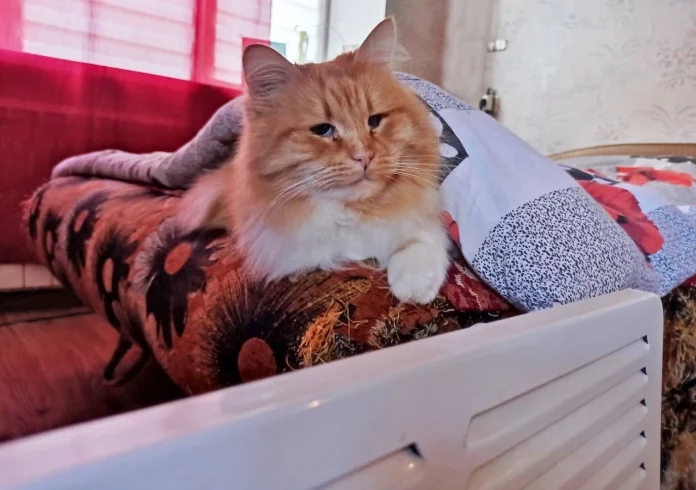 WpEHQ46dWdLCiLJAhpCzElo8HZ0B59IuQn39Bc8v9dA7jLBXbXRnwZ7O_miYE0pVqIWwnUreIjPwgjUnFvoeRZ5r