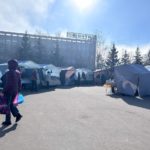 4 тонны яблок и груш продали в Рязани на ярмарках выходного дня