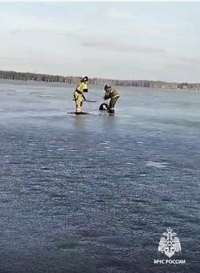 c6bd7df3-573b-433e-a978-f19904fecd7a