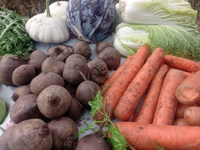 овощи Фото Людмилы Ивановой_1 (1)