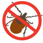 В конце апреля рязанские парки и скверы отработают от клещей