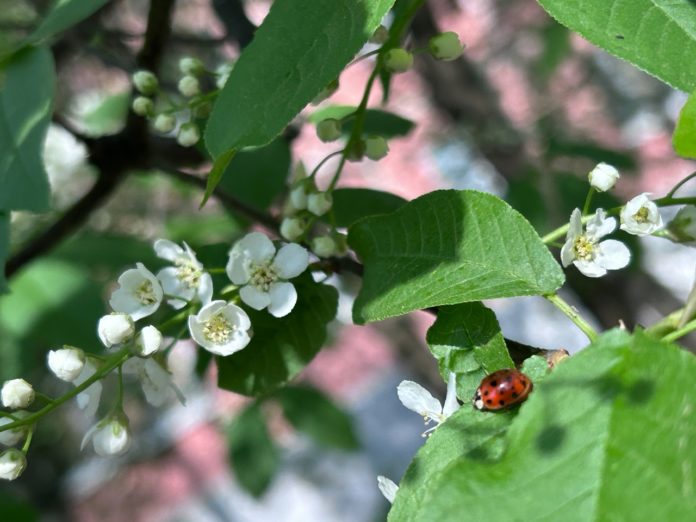 pjNdwBIaH_z-Ta2AHwooaAjgUZGHrxnQ-6K7fnEknxnBob5UTTnOHc0coPkn6ggfmW1nnIg5L_aNKyMz8Q5ZV7v3