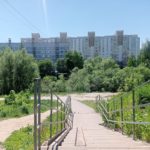 Восстановление зеленых насаждений проводят в Рязани