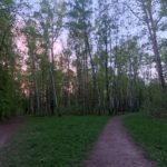 Завтра парки и скверы Рязани будут обрабатывать от клещей