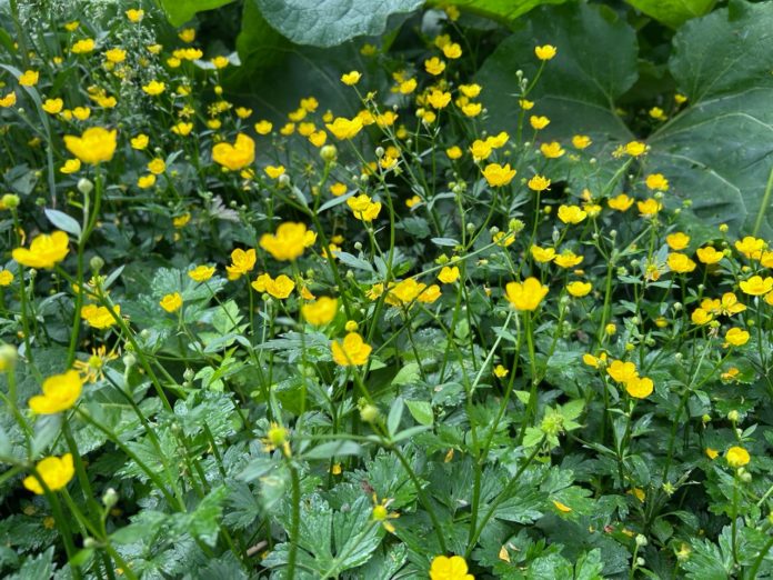 kFeegwTfTvym2nYo-MLXTQxQ9p_iFEMmh_q2xz1TyKCpagG7fS7dJXy20KmGZoqn3YisEOT6OgG0w29PO9QhV0Iw